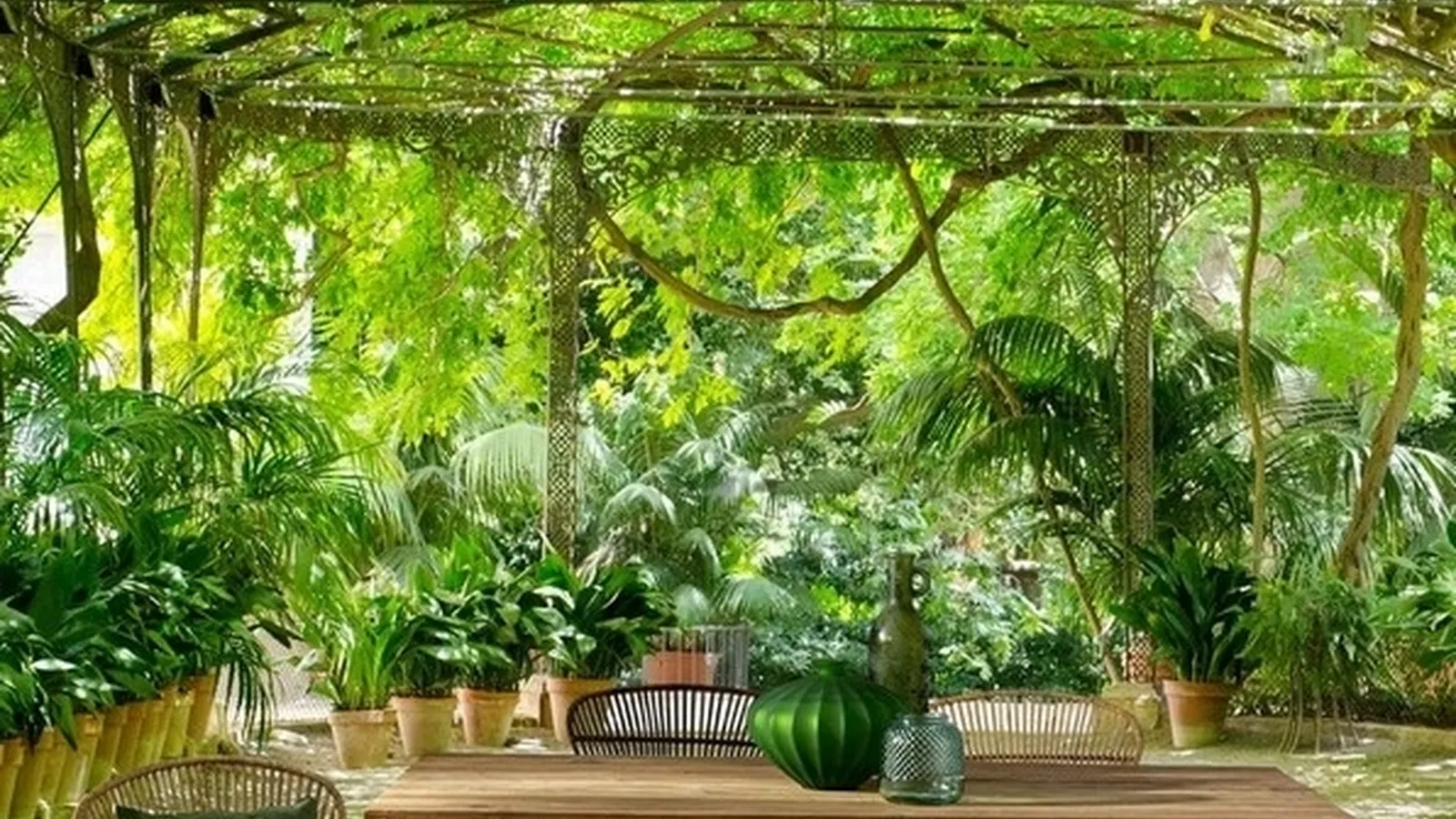 Poltroncina in rattan Venturs di Bizzotto